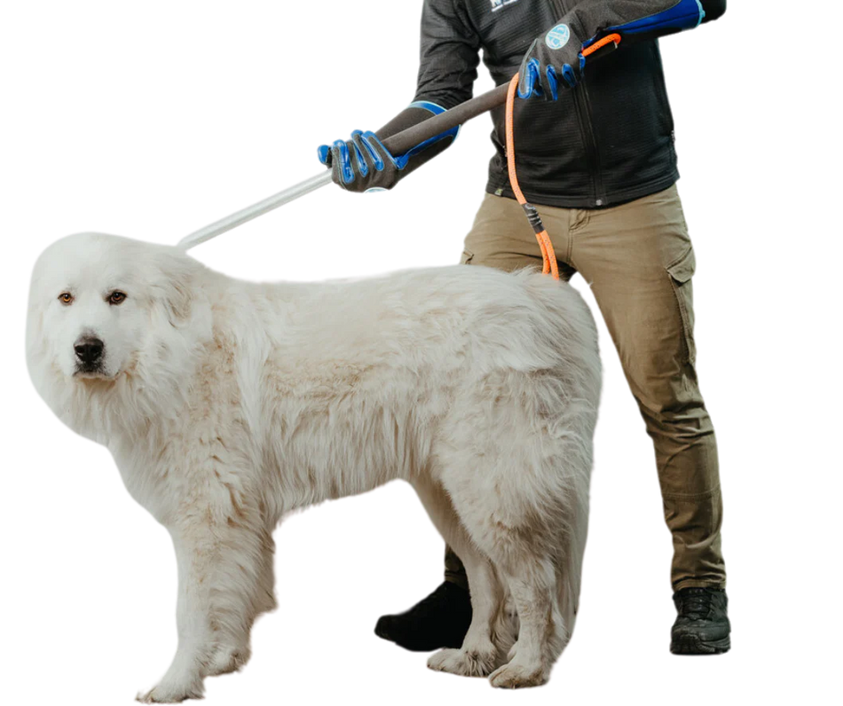 Freeman leash pole with black shaft and red handle, displayed vertically to show loop attachment and control grip.