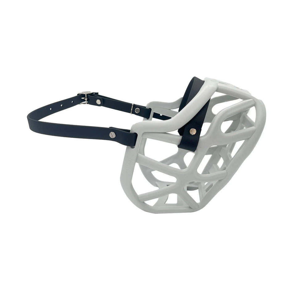 Bully Breed Muzzles & Head Straps Shelter Kit, Gray