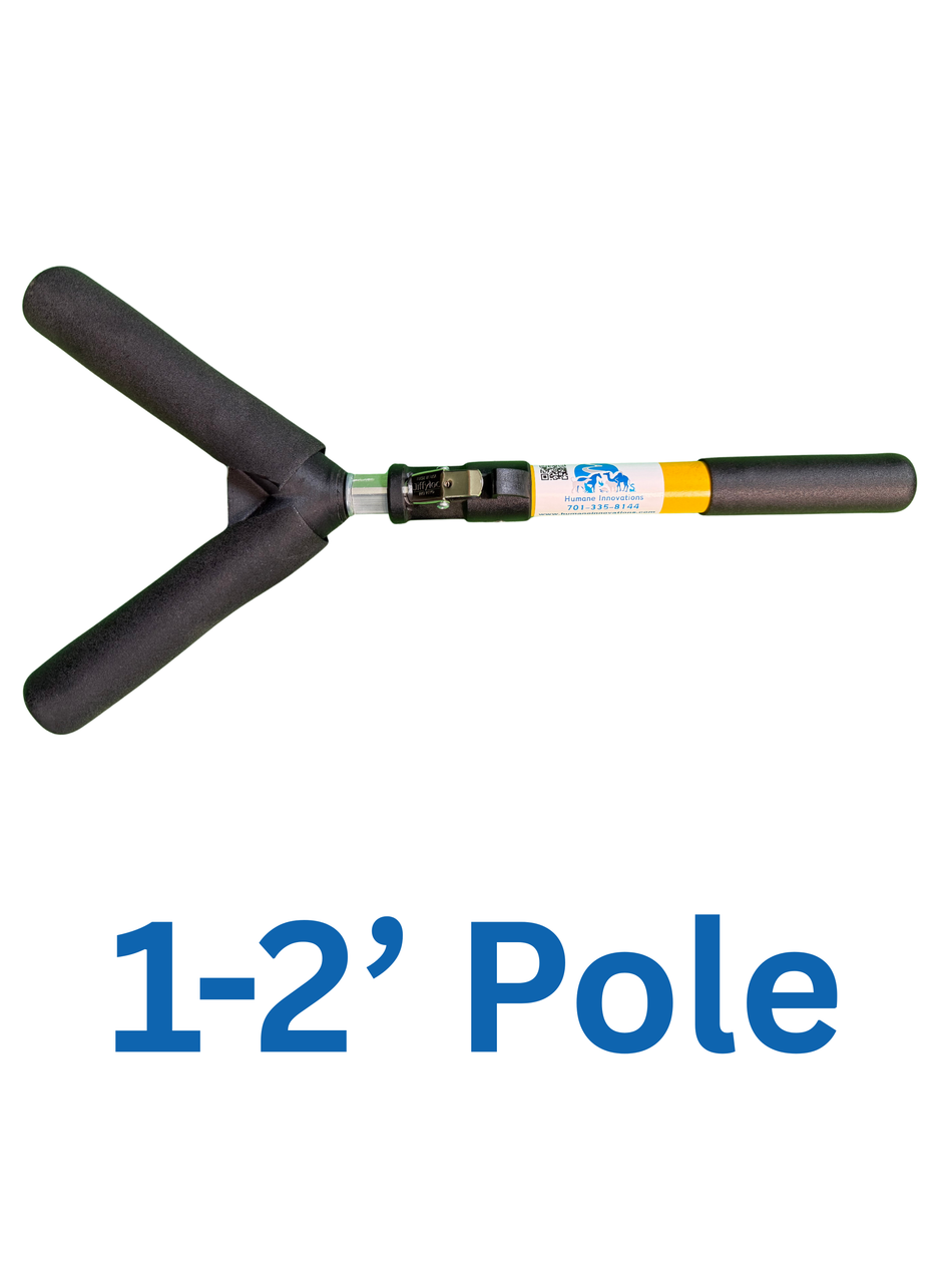Y Pole Shorty