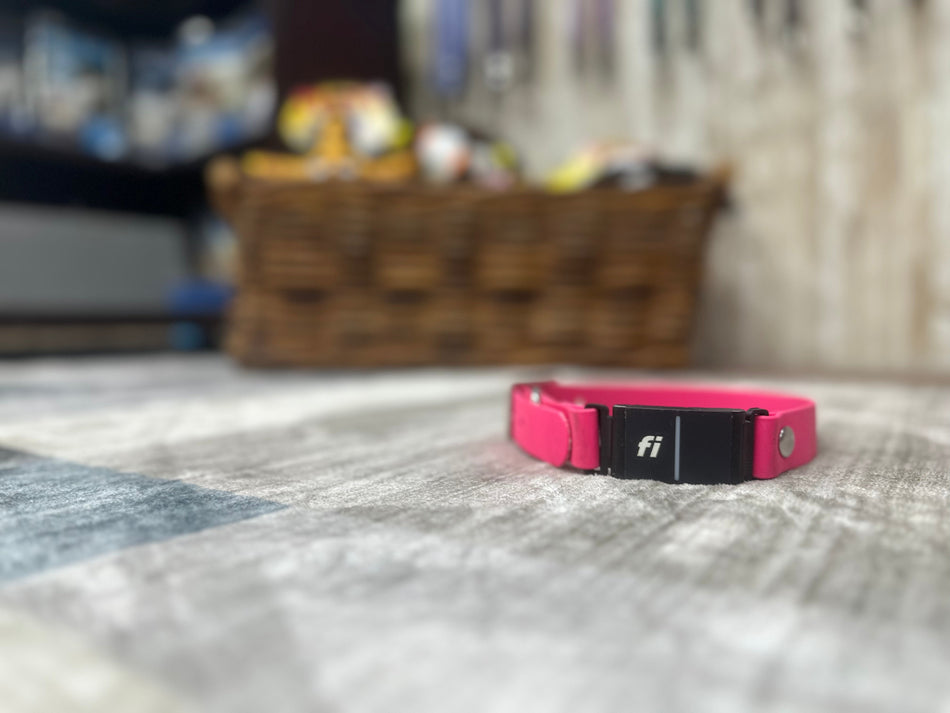 BioThane® Fi Series 3 Compatible Dog Collar | Custom 1" Waterproof Band