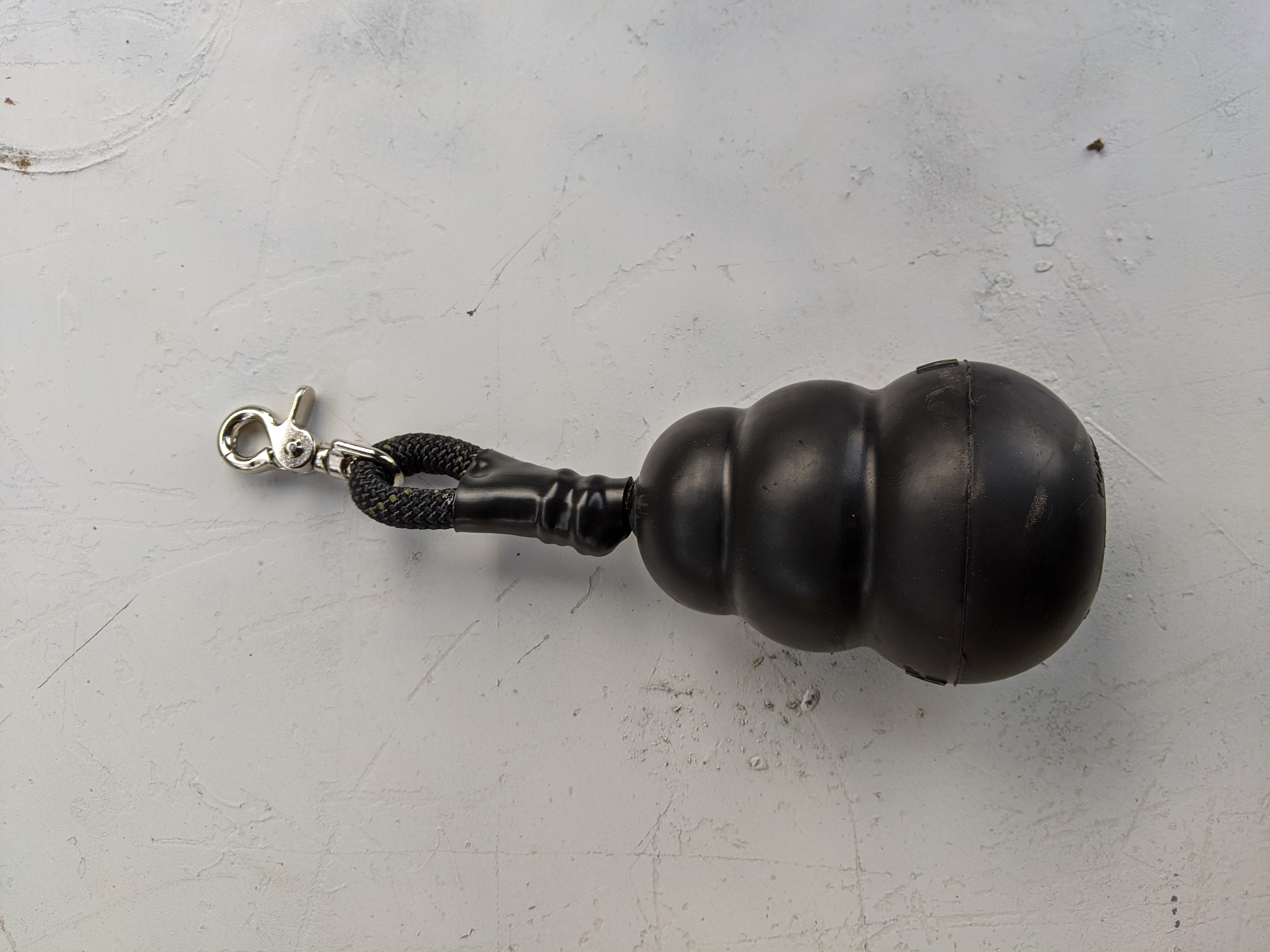 Behavior Leash System