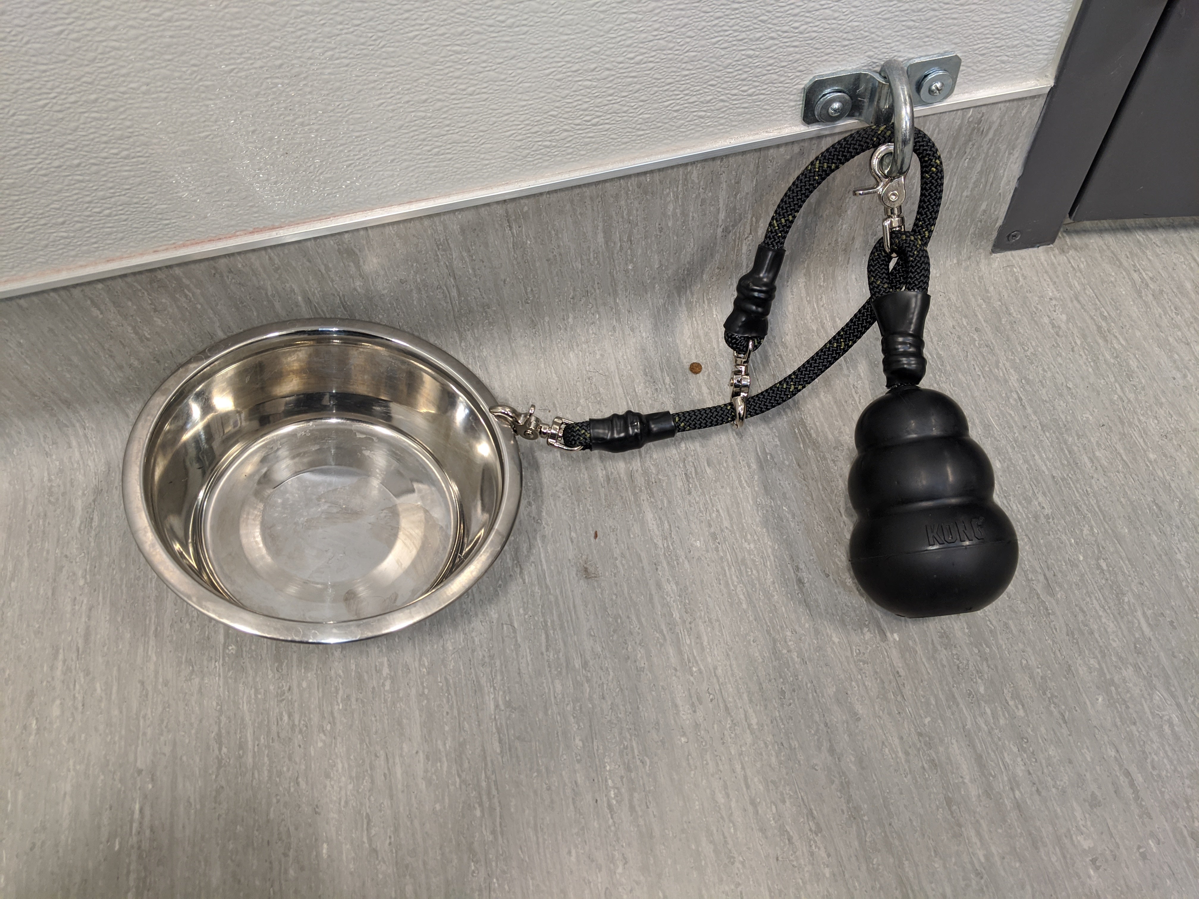 Behavior Leash System