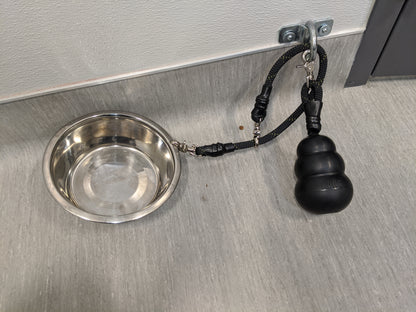 Behavior Leash System