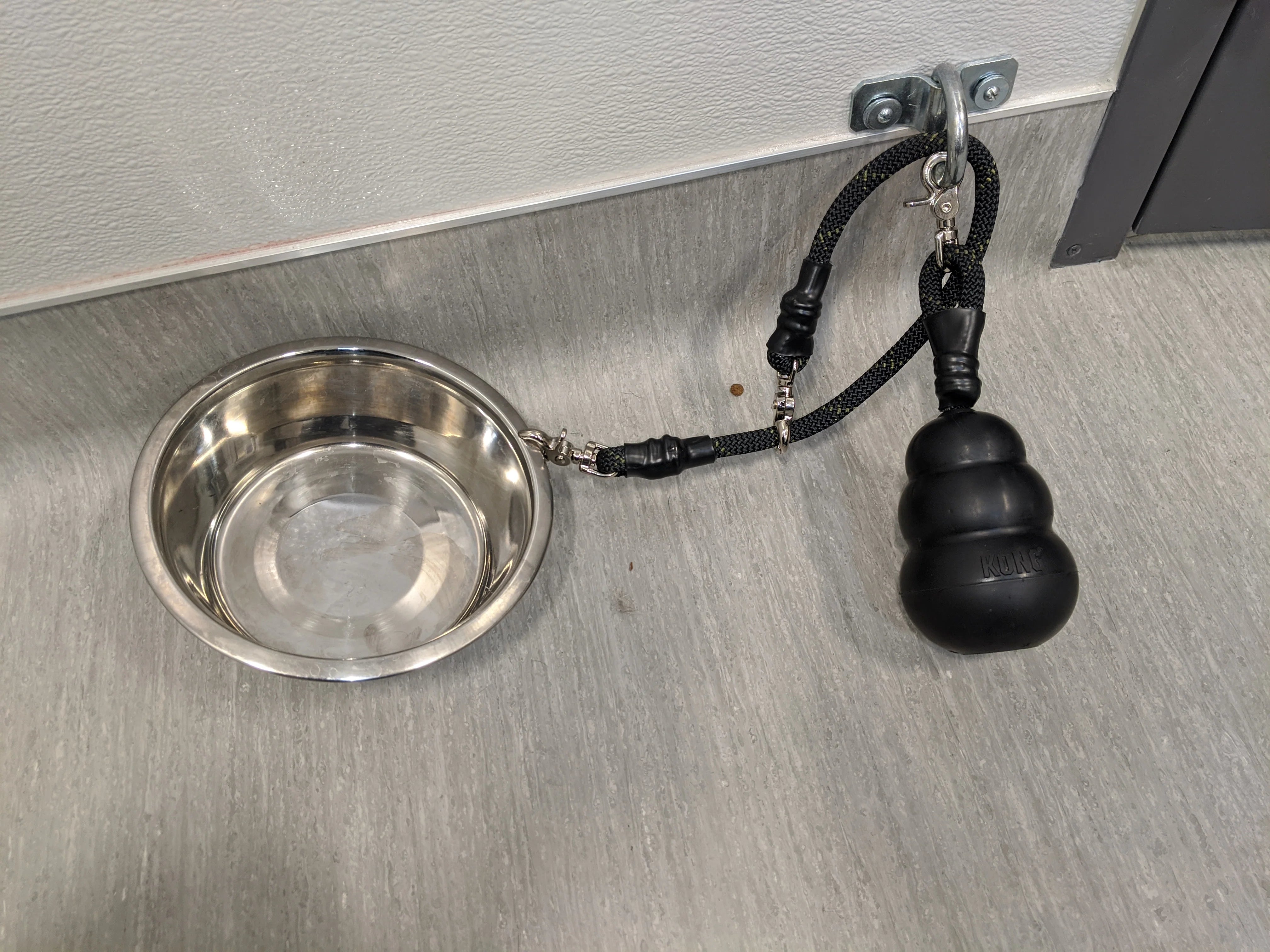 Behavior Leash System