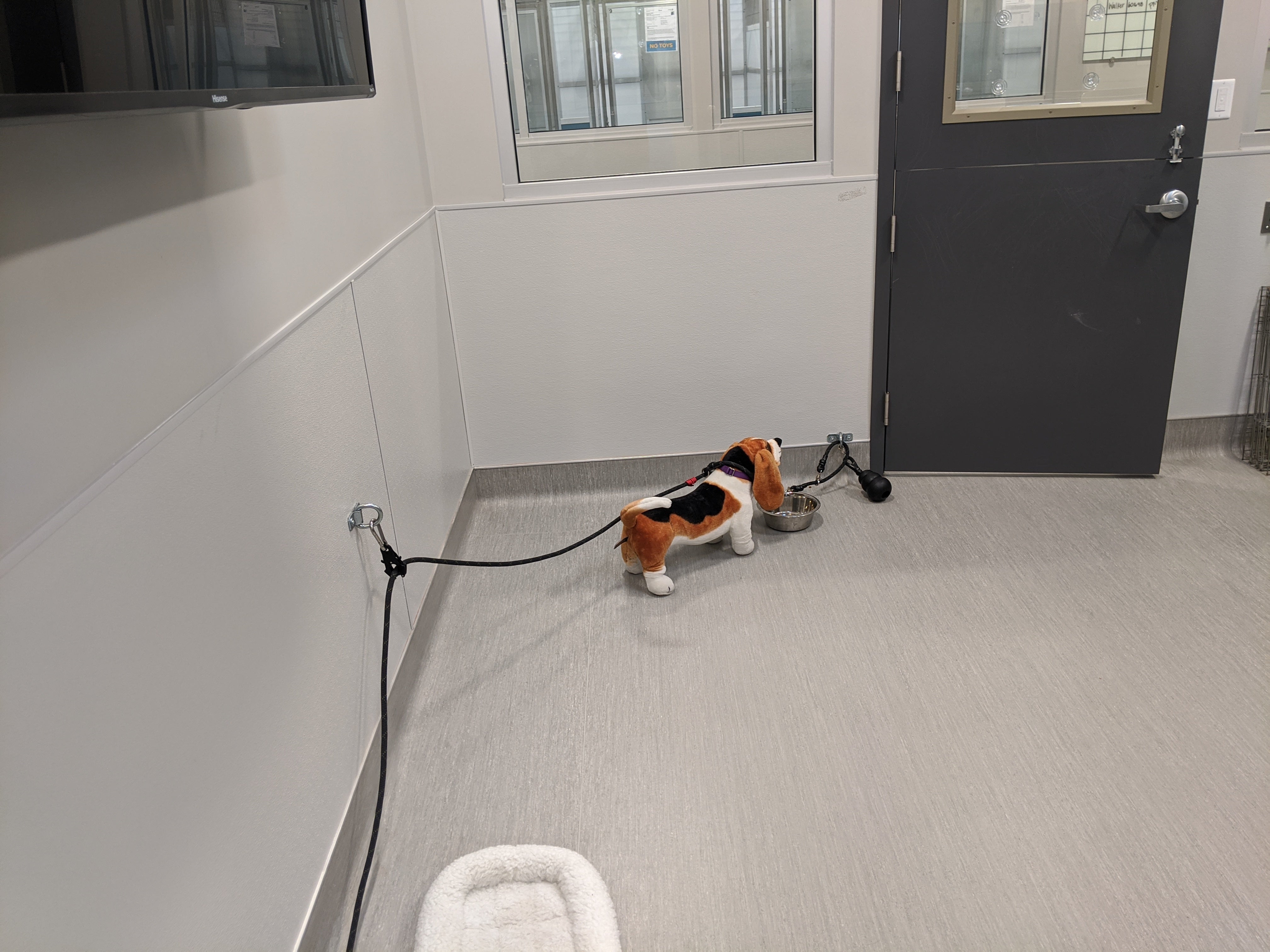 Behavior Leash System