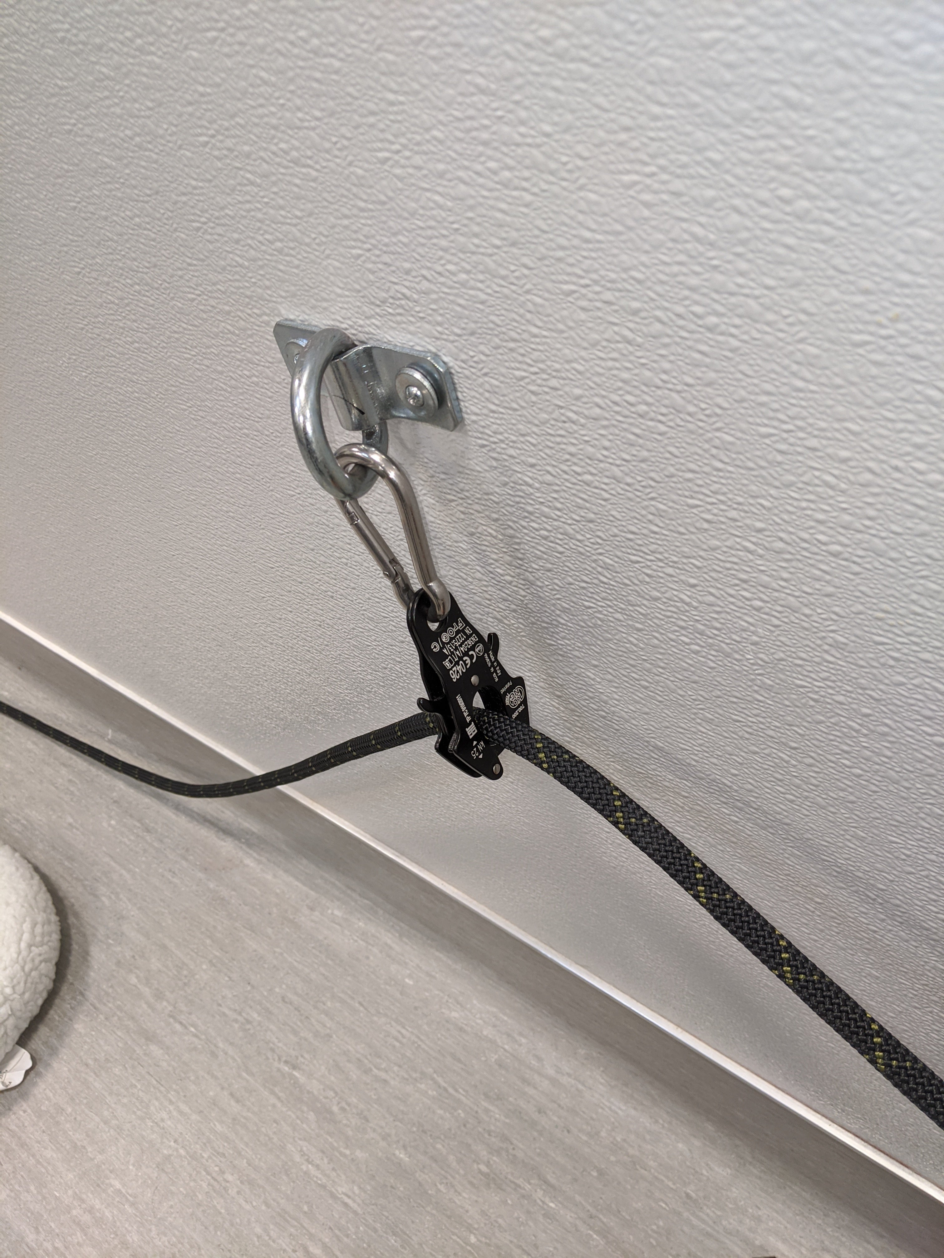 Behavior Leash System