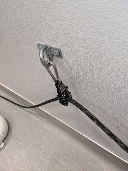Behavior Leash System