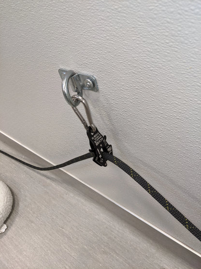 Behavior Leash System