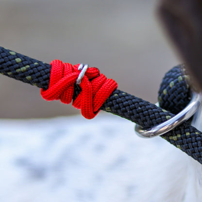 ShelterPro Slip Lead 6'