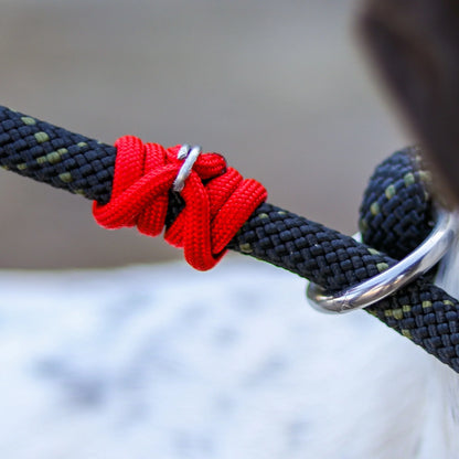 ShelterPro Slip Lead 6'