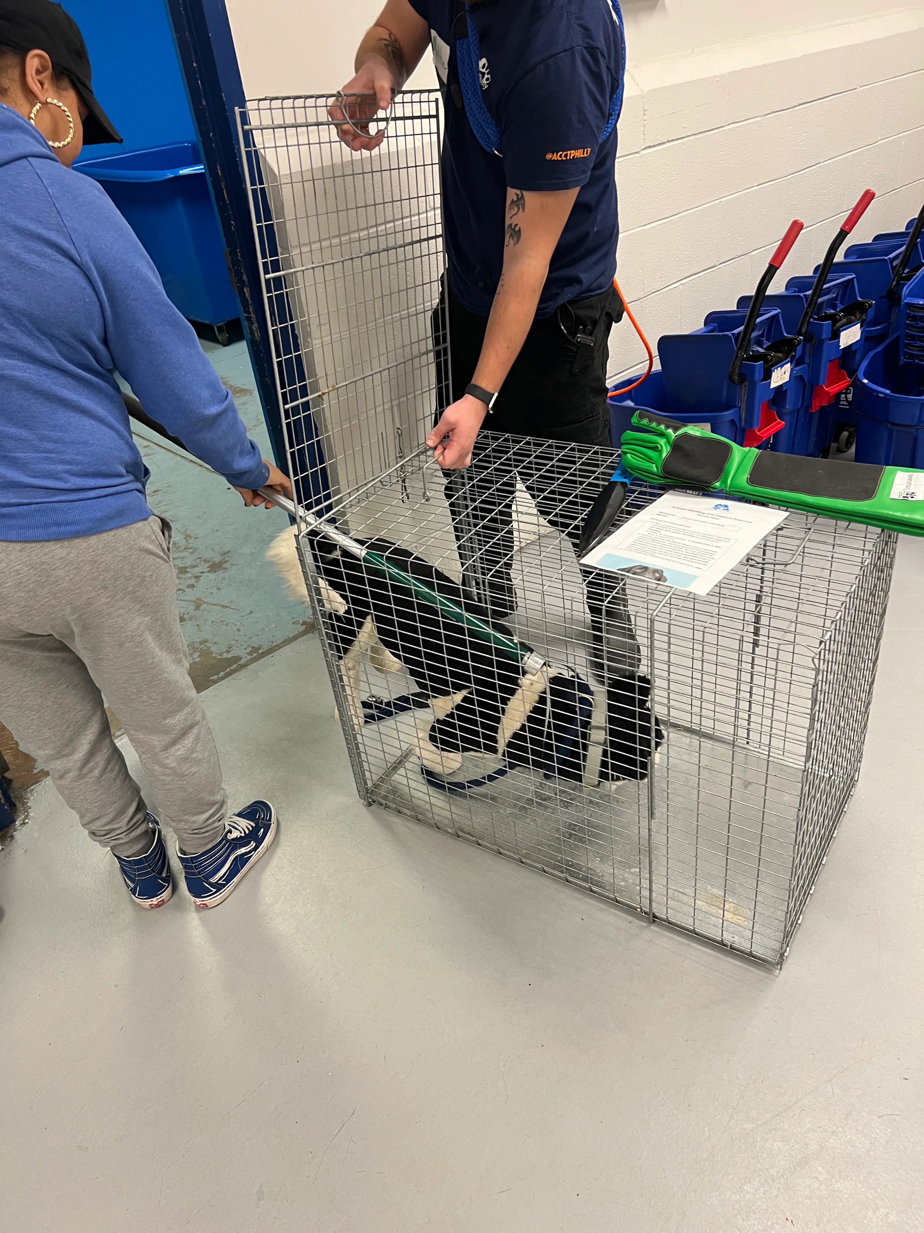 GT306 catch pole resting outdoors, showing padded grip handle and extended shaft for effective and safe animal restraint use.