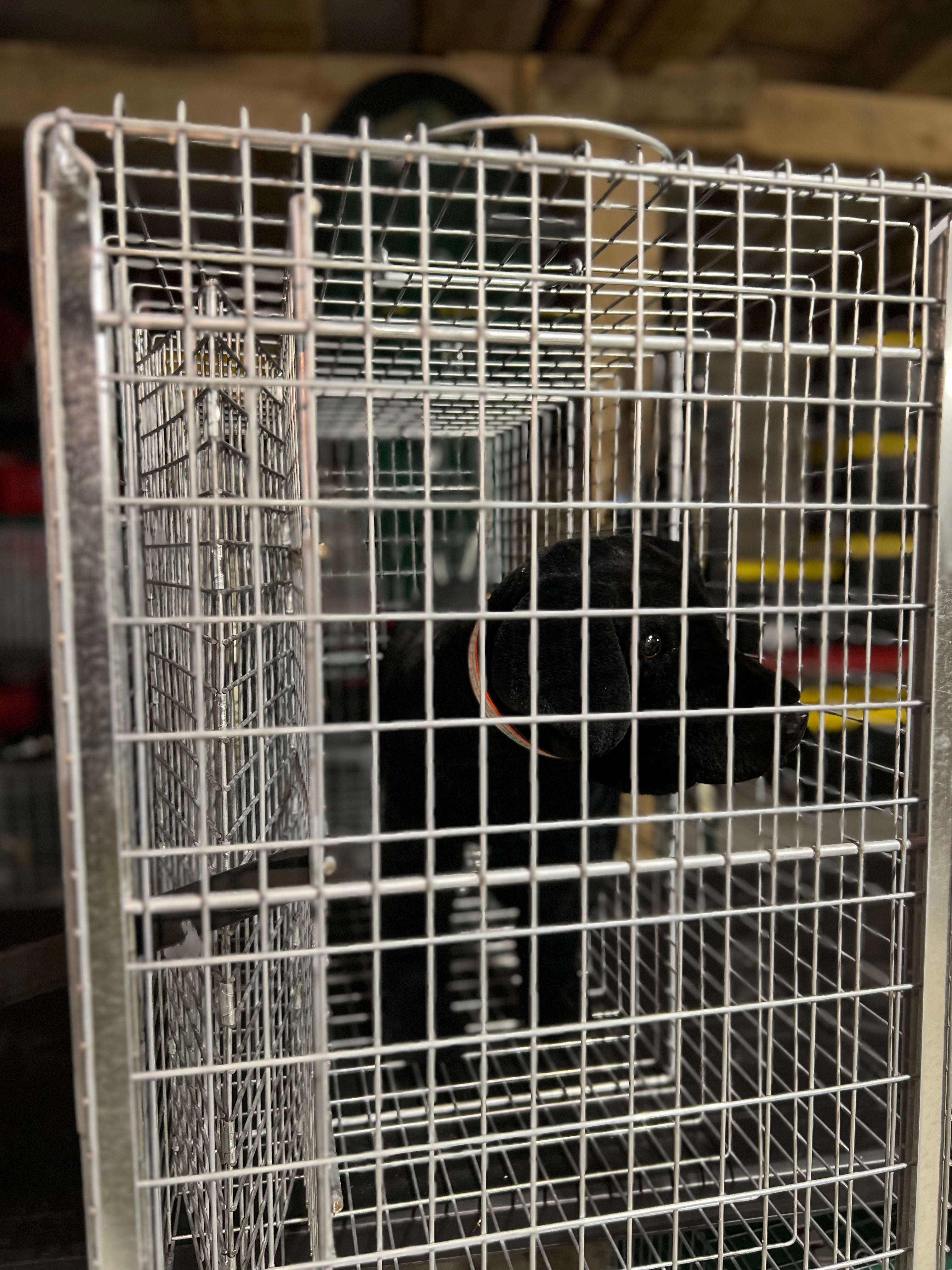 RM42 Dog Restraint Module