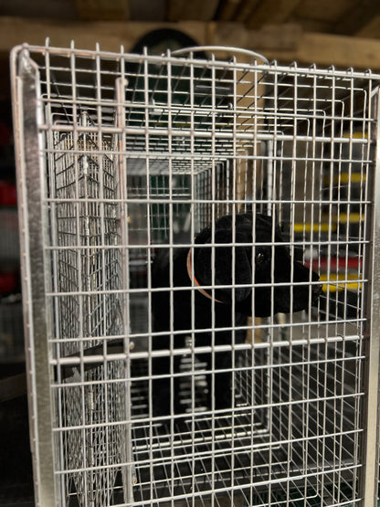 RM42 Dog Restraint Module