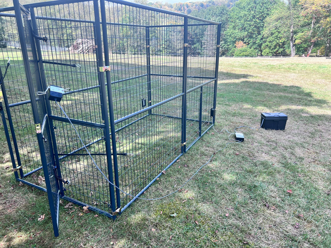 Dog muzzle placed on table, showing breathable mesh and adjustable straps designed for secure, humane use in various settings.