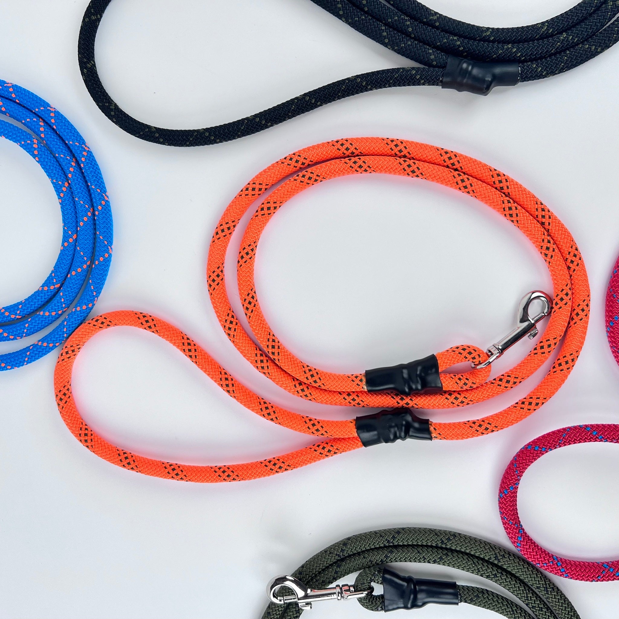 Everyday Leash, 6'