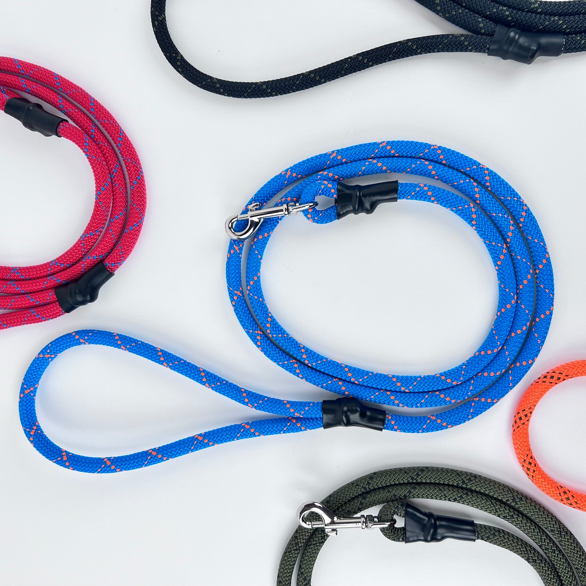 Everyday Leash, 6'