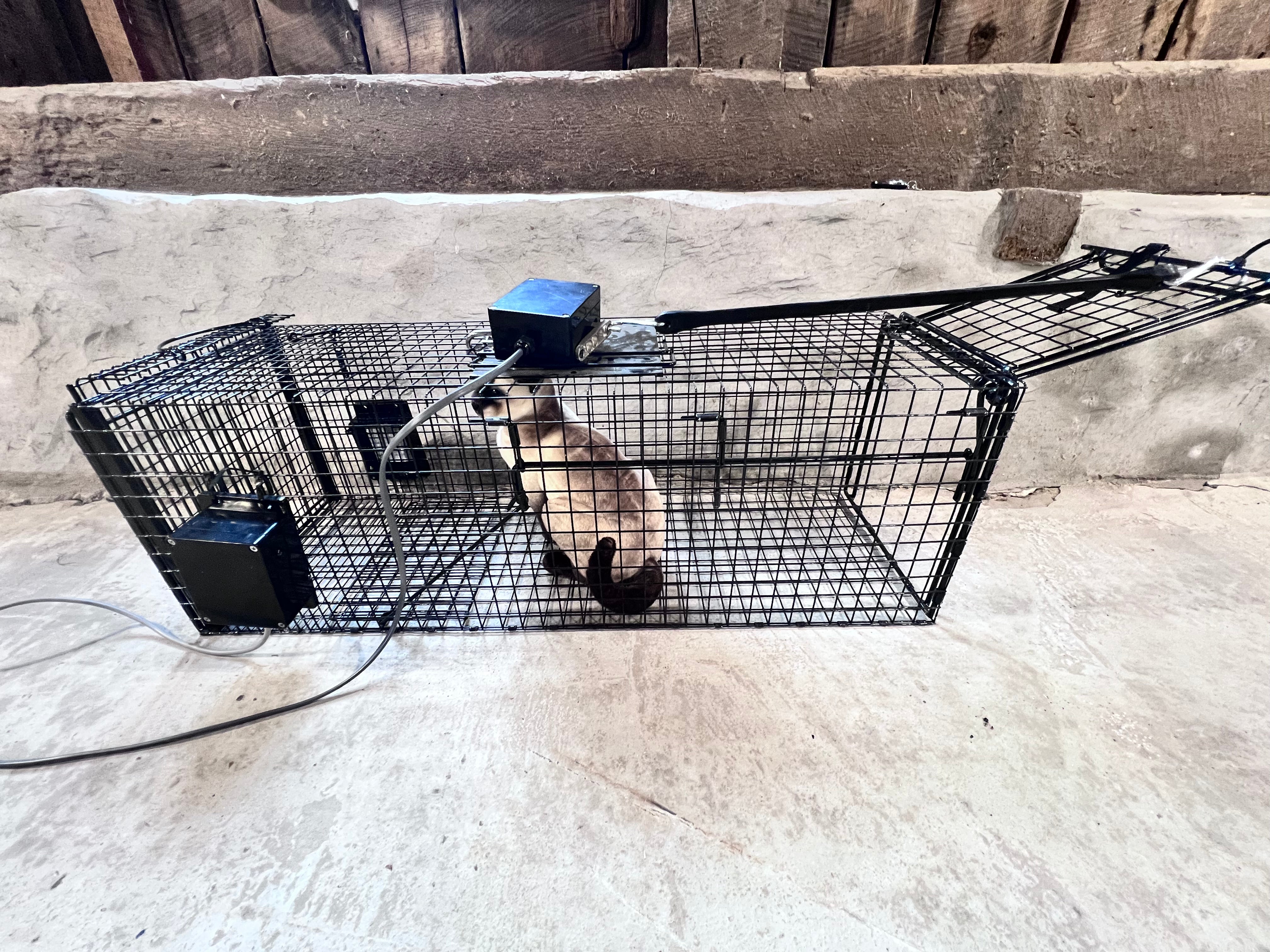Custom Electric Trap Triggers
