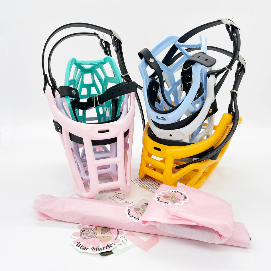 The Muzzle Movement Canine Professional Size Bundle, Multi-Colored