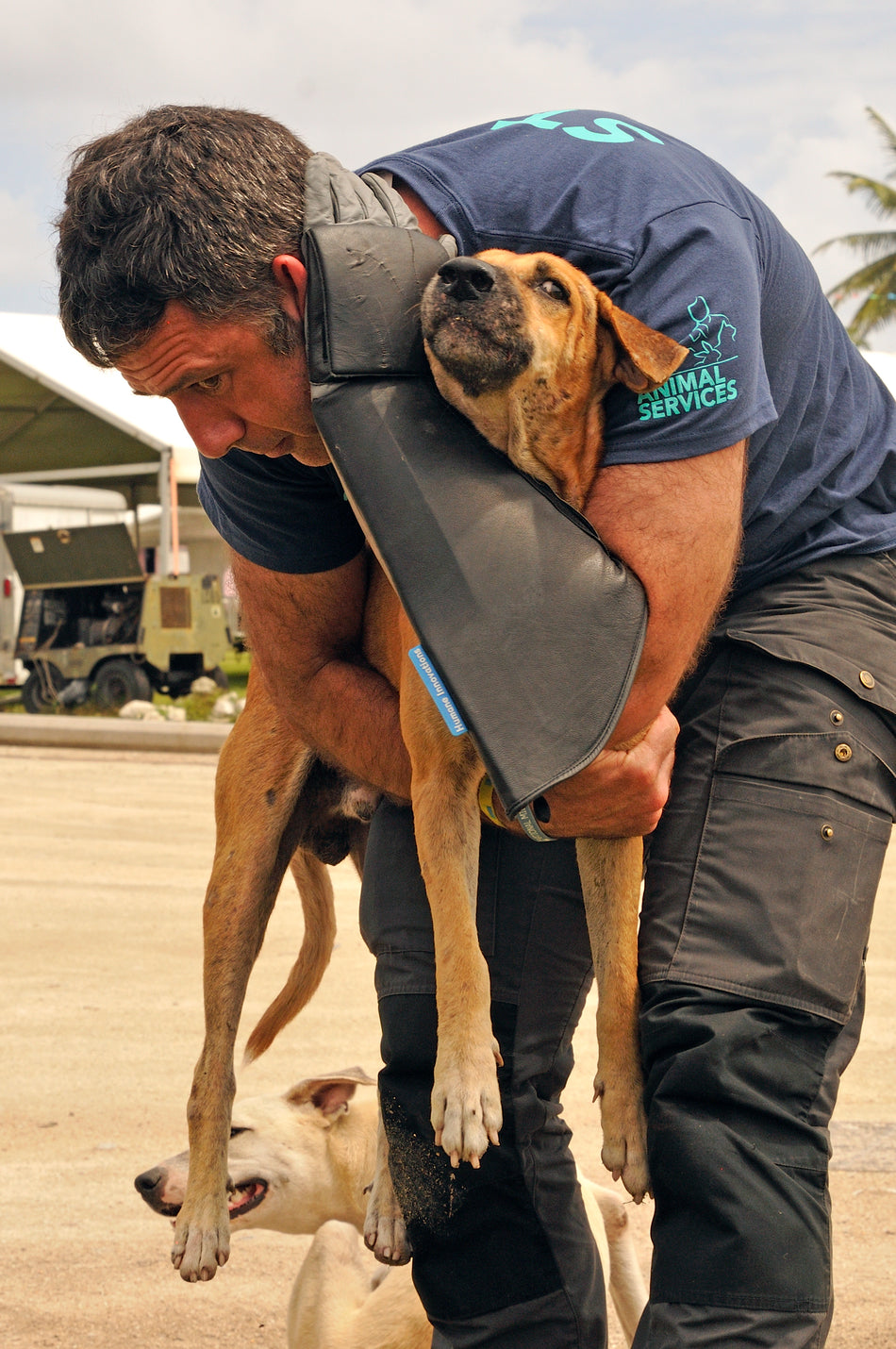 Praetorian Pro Dog Handling Glove