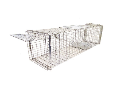 Kitten Trap, Soft Set