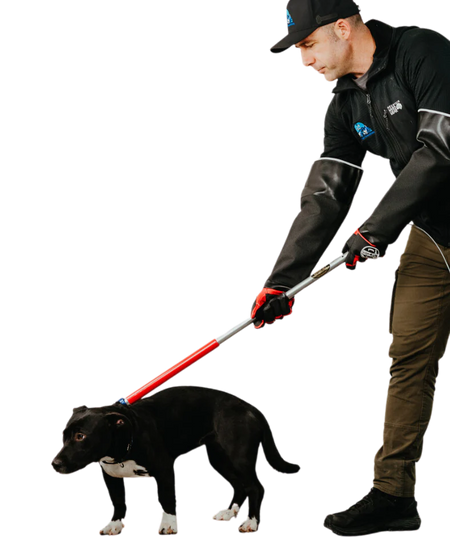 Ketch-All catch pole in black with red handle, vertically displayed to highlight its strength and secure loop mechanism.
