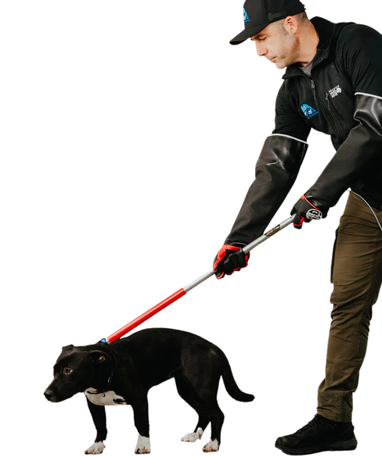 Ketch-All catch pole in black with red handle, vertically displayed to highlight its strength and secure loop mechanism.