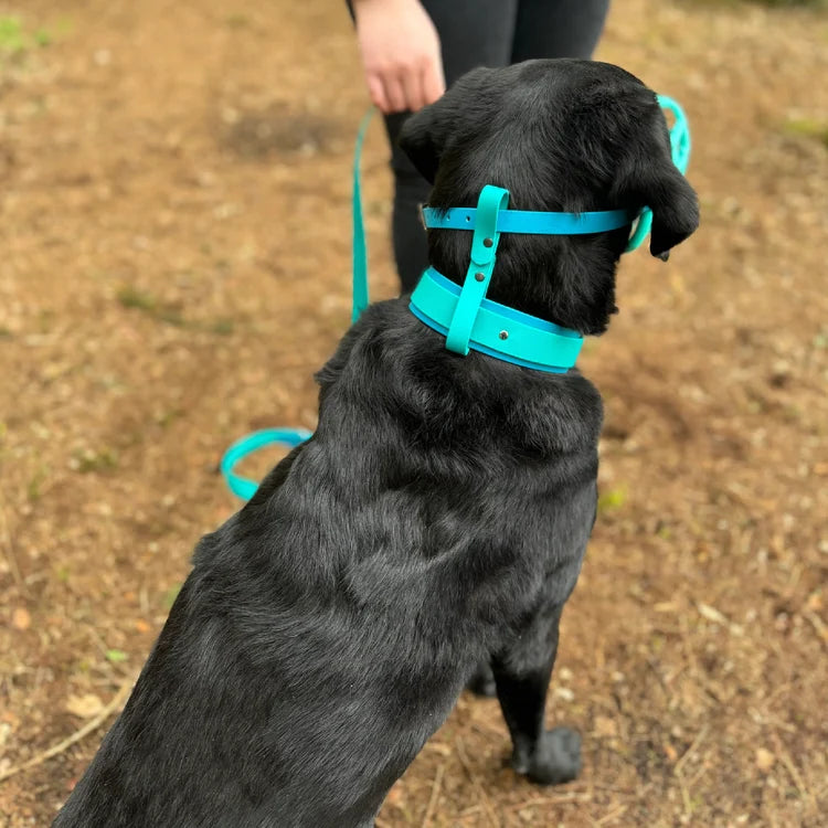 Muzzle Stop