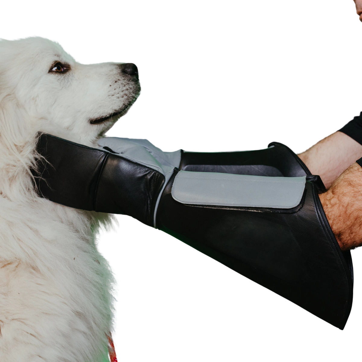Handler wearing thick black and gray bite glove while safely restraining a large white dog during close-contact animal control.