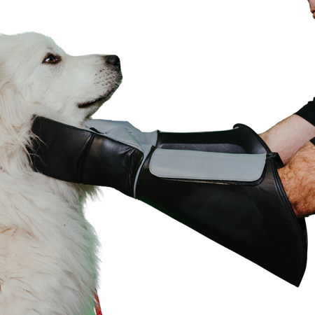 Handler wearing thick black and gray bite glove while safely restraining a large white dog during close-contact animal control.