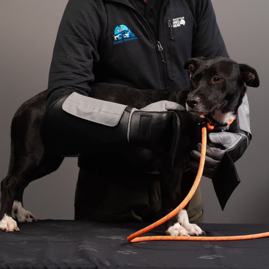 Praetorian Pro Dog Handling Glove
