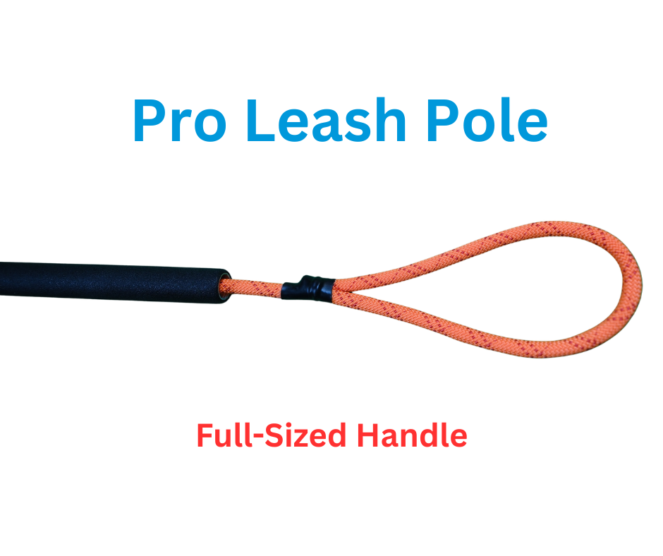 Pro Leash Pole