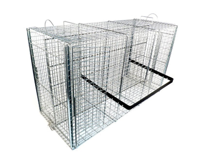 RM42 animal control pole extended with a red grip and loop cable, made for field capture and safety.