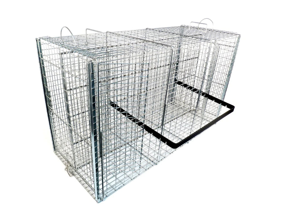 RM42 animal control pole extended with a red grip and loop cable, made for field capture and safety.