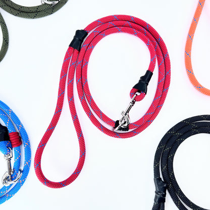 Dual Control Leash, 7'