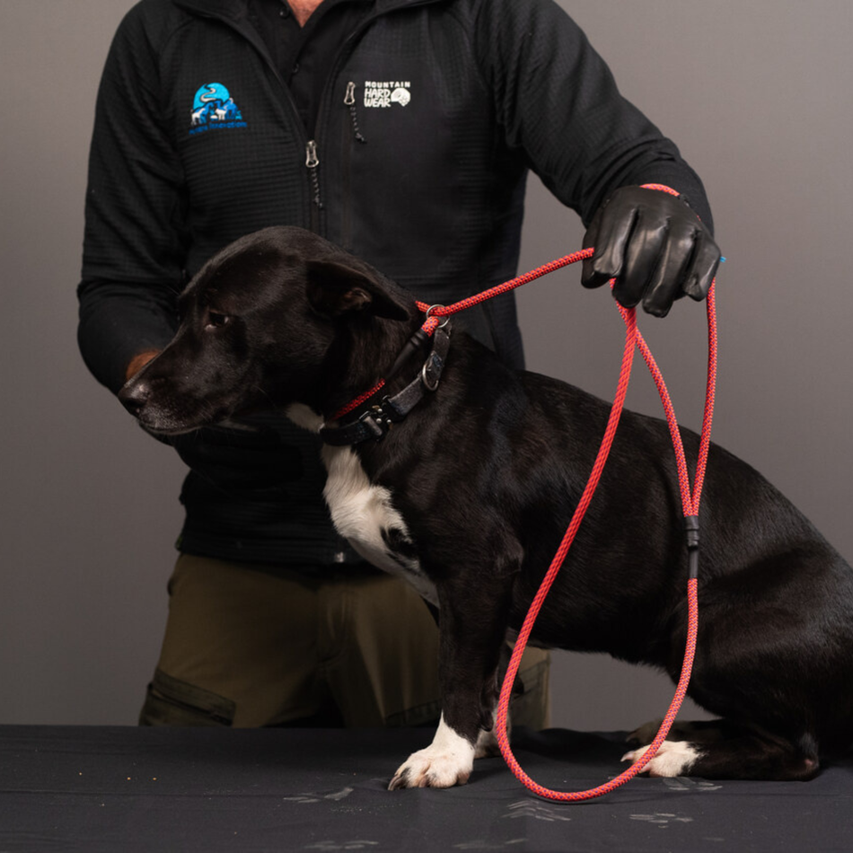 Rope Slip Leash - Small