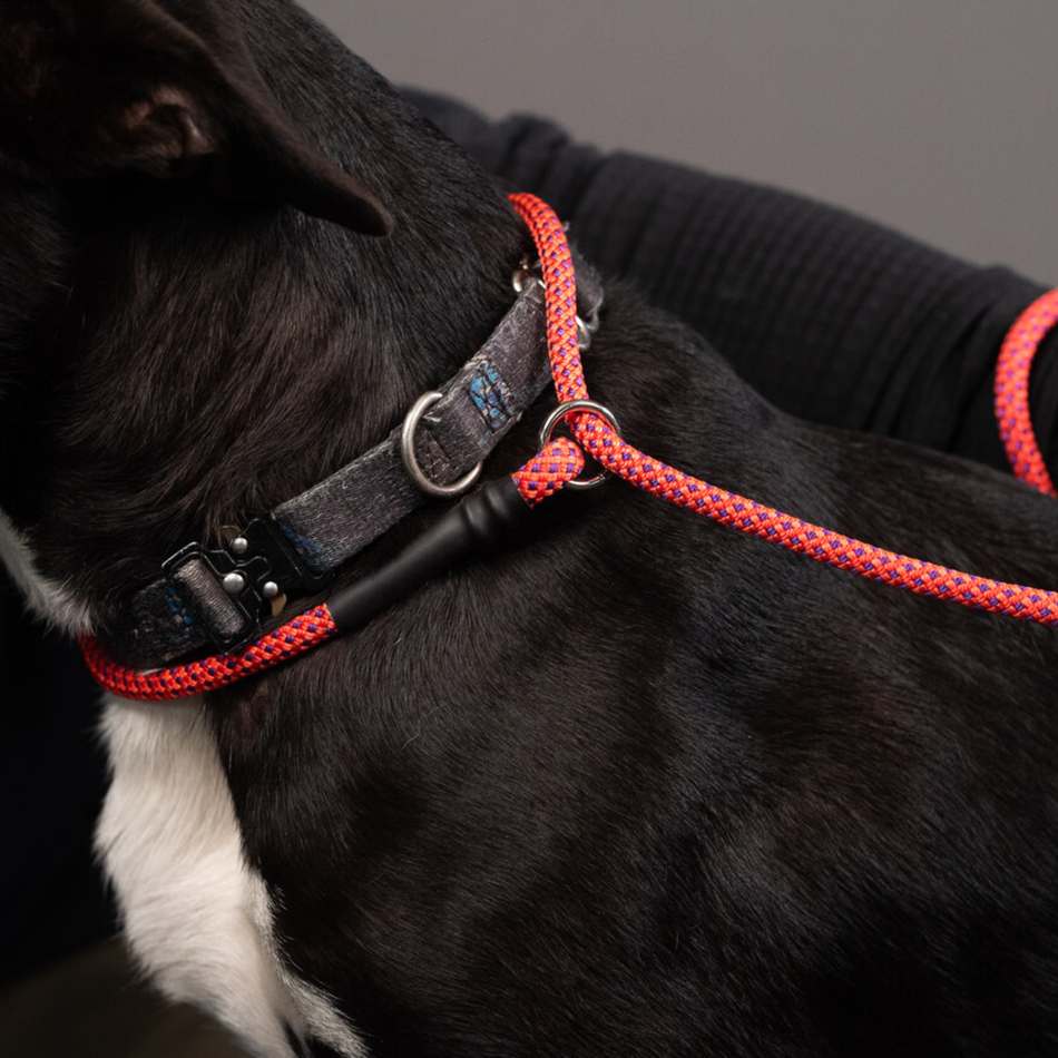 Rope Slip Leash - Small