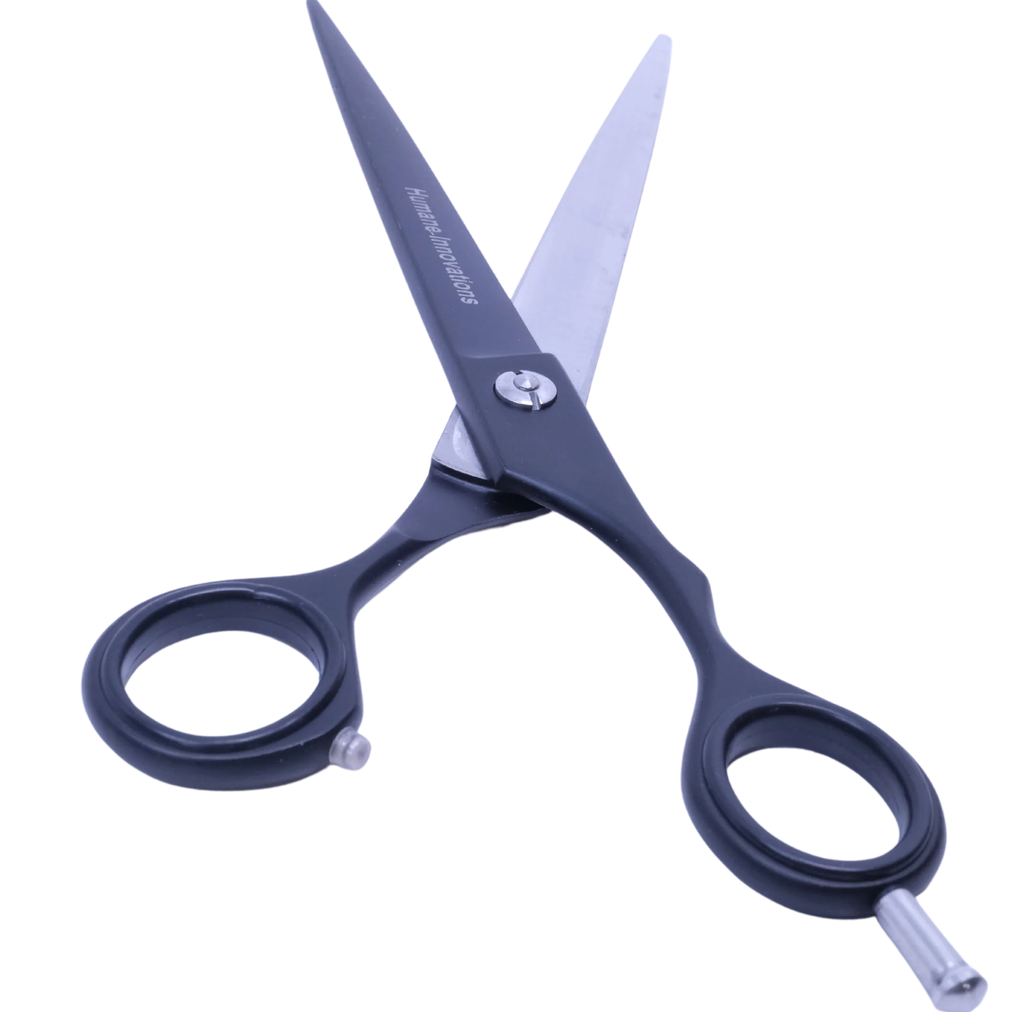Straight grooming scissors with sharp stainless blades and comfort grip, laid flat on a white background for detail.