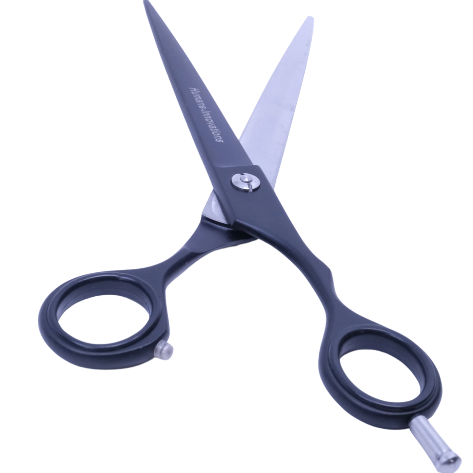 Straight grooming scissors with sharp stainless blades and comfort grip, laid flat on a white background for detail.