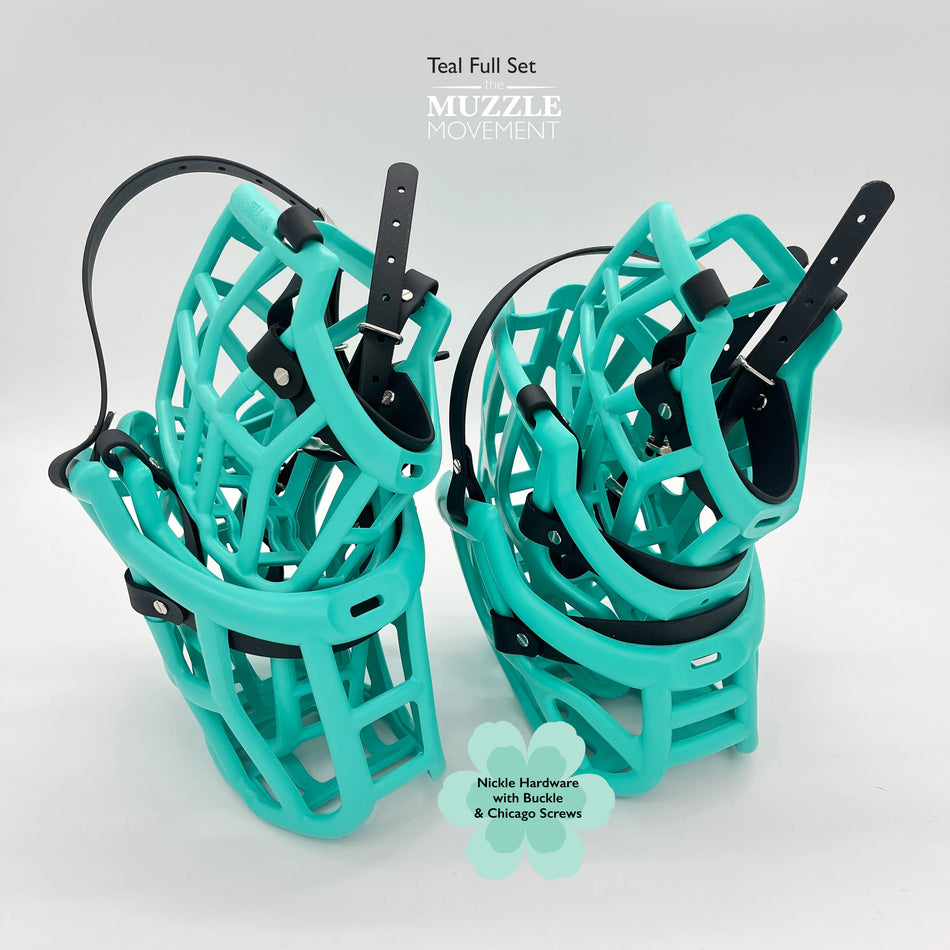 The Muzzle Movement Canine Professional Size Bundle, Teal Color