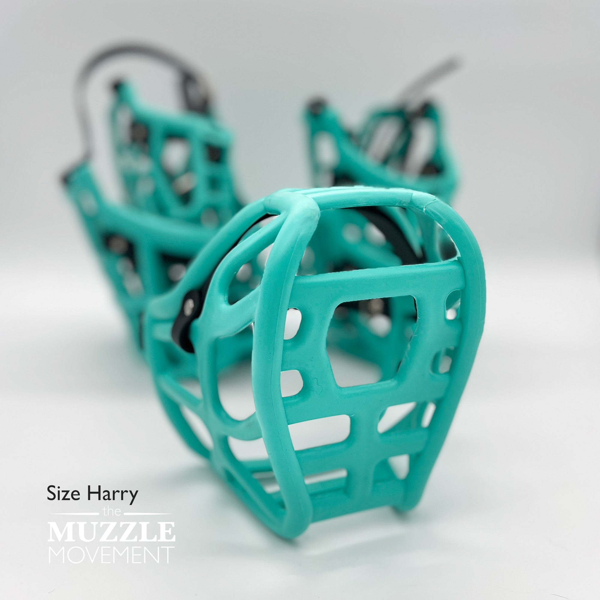 The Muzzle Movement Canine Professional Size Bundle, Teal Color