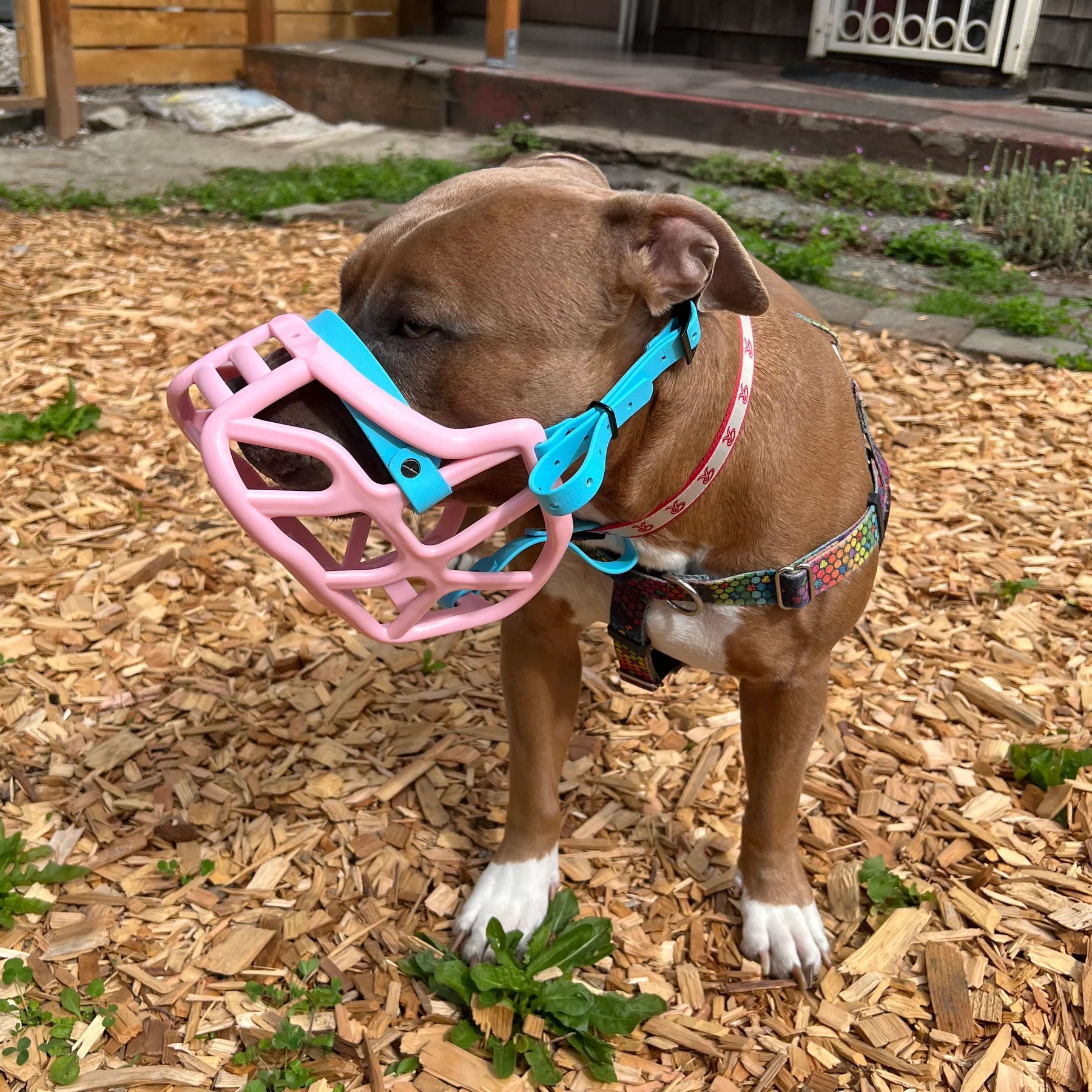 Size Harry 2.0, Muzzle Movement