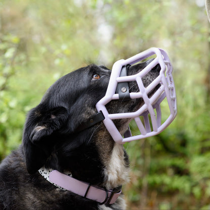 The Muzzle Movement Canine Professional Size Bundle, Multi-Colored
