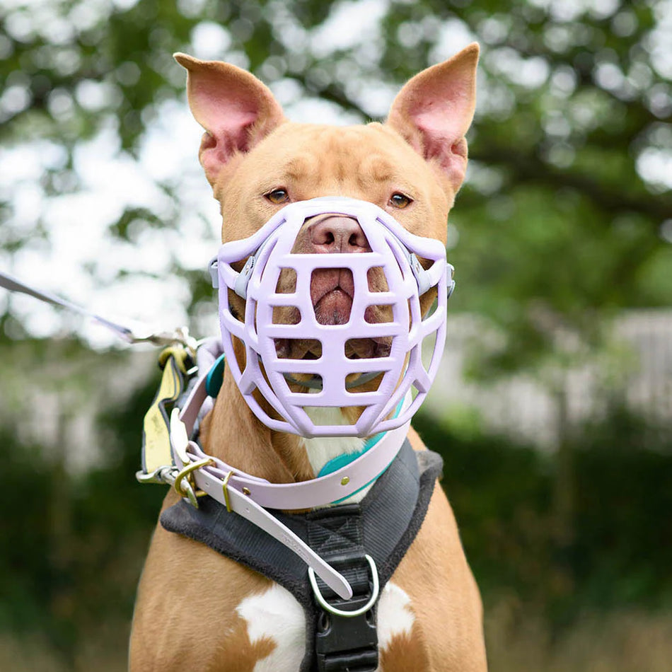 Size Pippa, Muzzle Movement