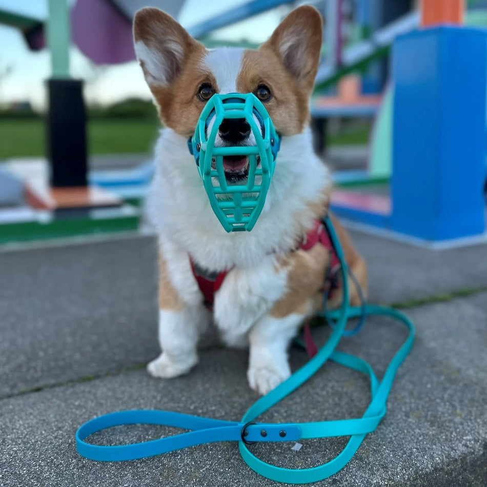 Size Rex, Muzzle Movement