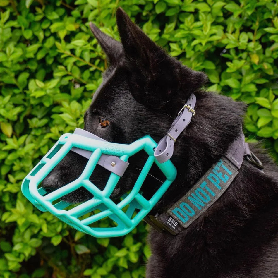 Size Sunny, The Muzzle Movement
