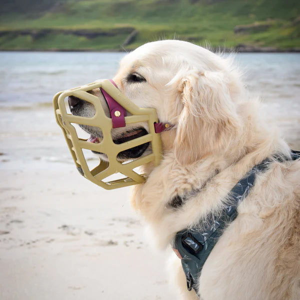 Size Taz, Muzzle Movement