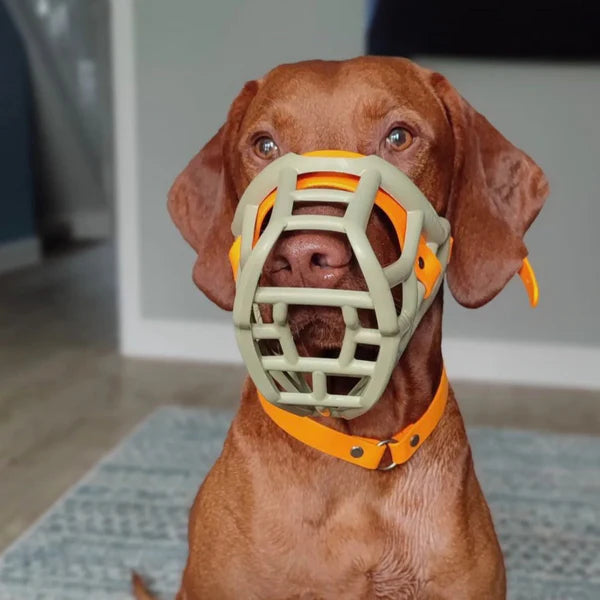 Size Tolly Muzzle Movement