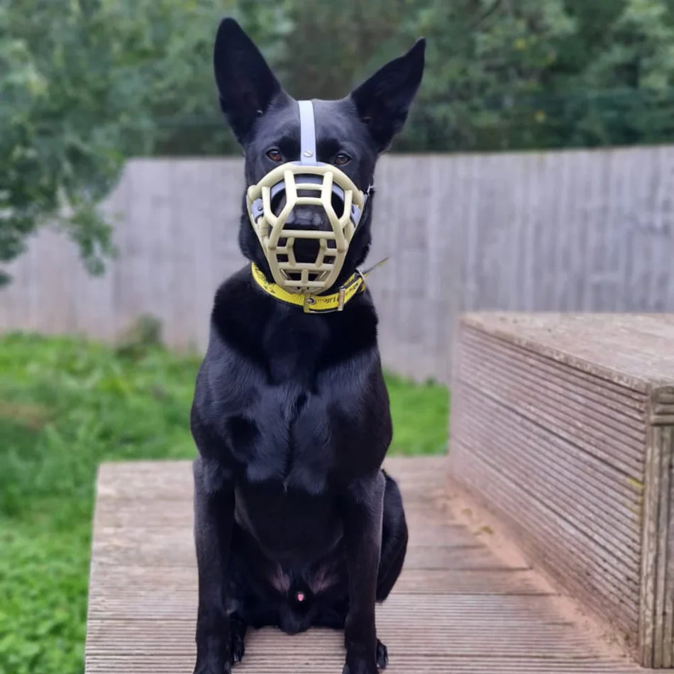 Size Neli, Muzzle Movement