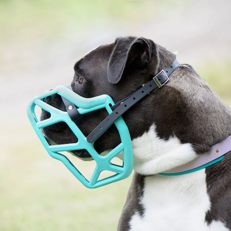 Size Mitzy, The Muzzle Movement