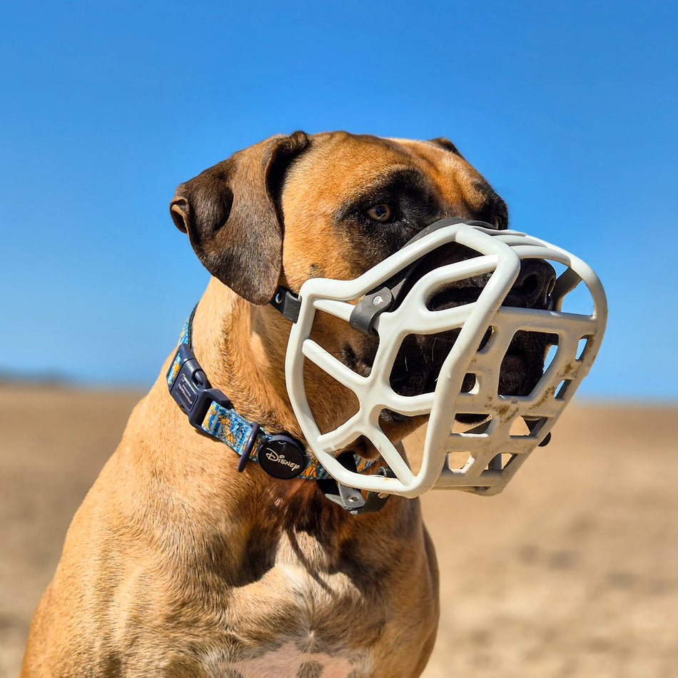 Size Harry 2.0, Muzzle Movement